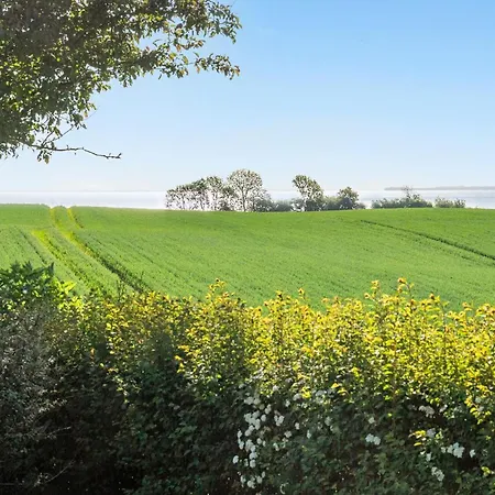 Lovely In With Wifi *