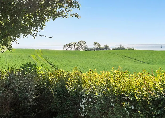 Lovely In With Wifi *